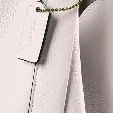 COACH Hadley 21 HoboTote