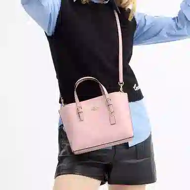 COACH Mollie 25 Tote