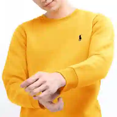 Polo Ralph Lauren Logo