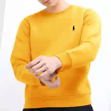 Polo Ralph Lauren Logo