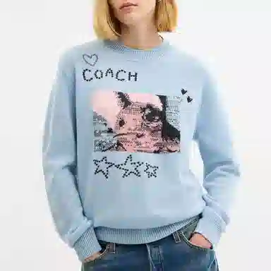 COACH FW25