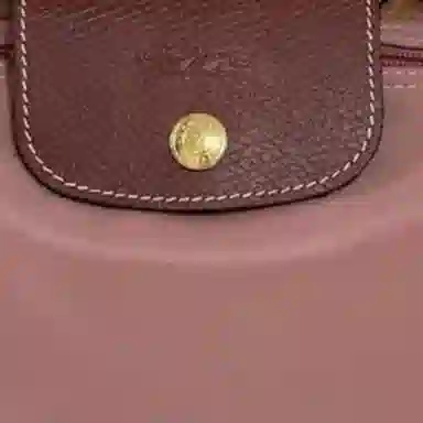 LONGCHAMP Le Pliage 17 Logo