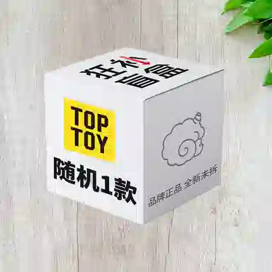 TOP TOY
