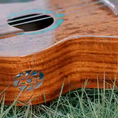 Brightsun BS-21C 2326