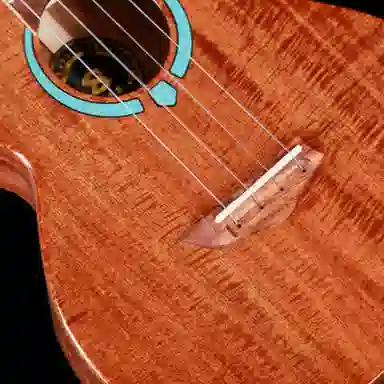 Brightsun BS-21C 2326