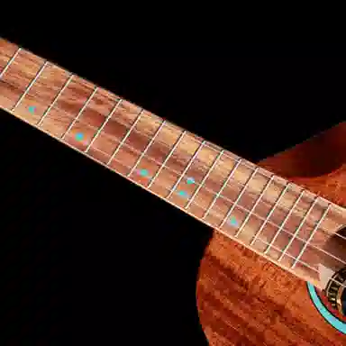 Brightsun BS-21C 2326