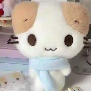 18cm30cm