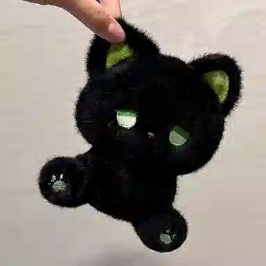 19cm