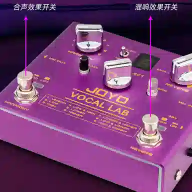 JOYO () R-16 Vocal Lab