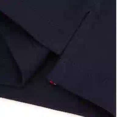 Tommy Hilfiger Polo