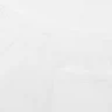 Puma Club Shorts Logo