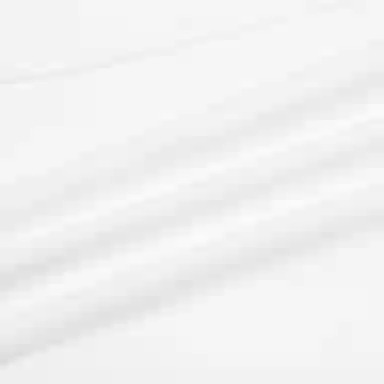 Puma Club Shorts Logo