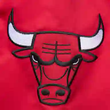 Mitchell Ness Dennis Rodman