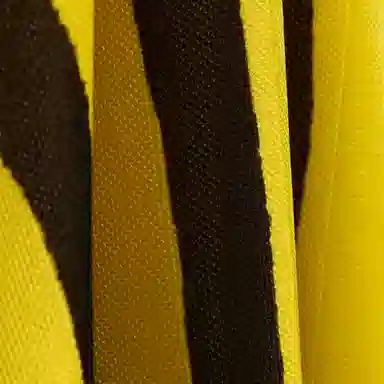 PUMA KIDSUPER STUDIOS SS25 Borussia Dortmund Retro T