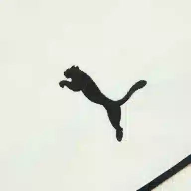 PUMA Retro Colorblock