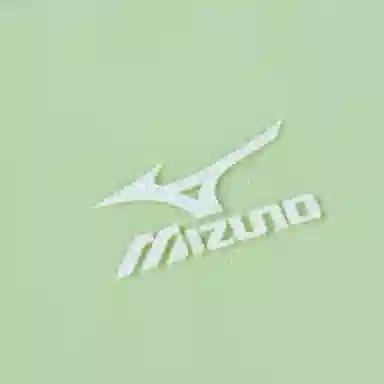 Mizuno