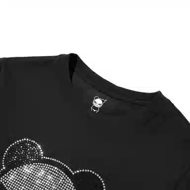 HIPANDA T
