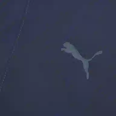 PUMA WINTERIZED WOVEN DOWN