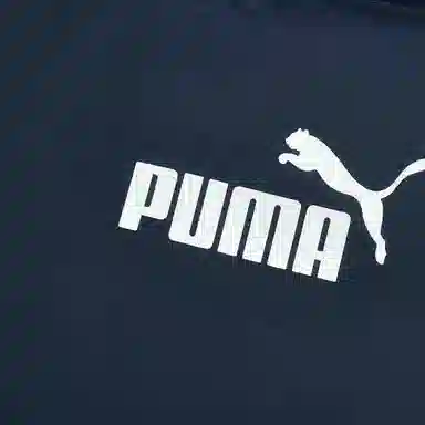 PUMA CONTRAST PANEL HOODED DOWN JKT
