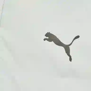 PUMA Winterized Basic Down Jacket