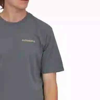 patagonia Men's Hold On To Winter Responsibili-Tee T