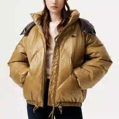 Lacoste Down Jacket Detachable Hood