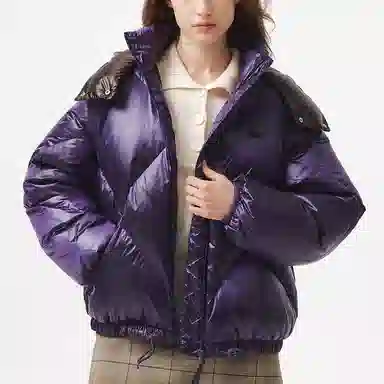 Lacoste Down Jacket Detachable Hood