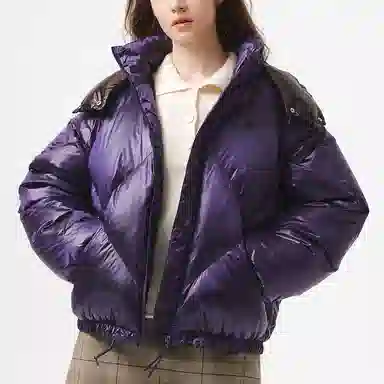 Lacoste Down Jacket Detachable Hood
