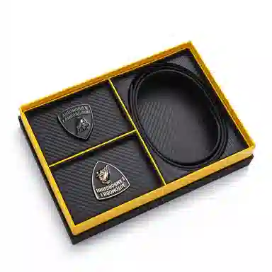 Automobili Lamborghini