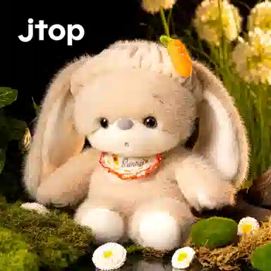 JTOP 25cm