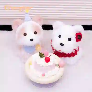 Chongker 23cm-24cm