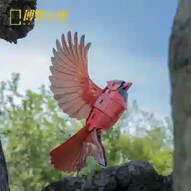 0-300pcs BWWC-2506-0001