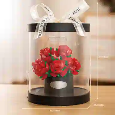 ZOCO 800pcs zoco-wj297