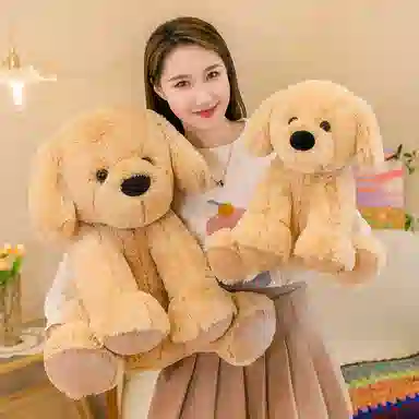 35cm60cm