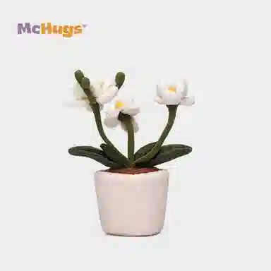 McHugs 26cm
