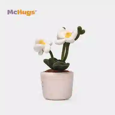 McHugs 26cm