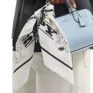 COACH PEANUTS SNOOPY