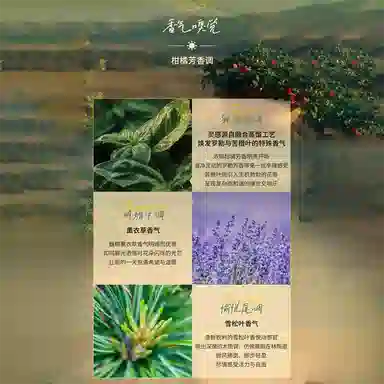 EDC 1.5ml1.5ml*21.5ml*31.5ml*51.5ml*8