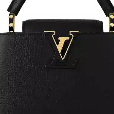 LOUIS VUITTON Capucines Taurillon