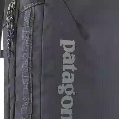 patagonia 22L