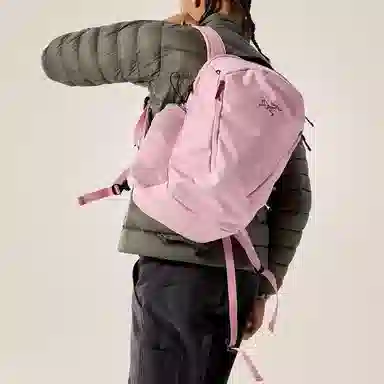 Arcteryx26L Mantis26L Logo