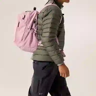 Arcteryx26L Mantis26L Logo