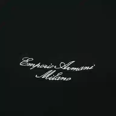 EMPORIO ARMANI SS25 logoT