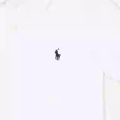 Polo Ralph Lauren LogoPolo