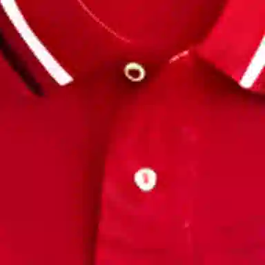 Polo Ralph Lauren FW24 LogoPolo