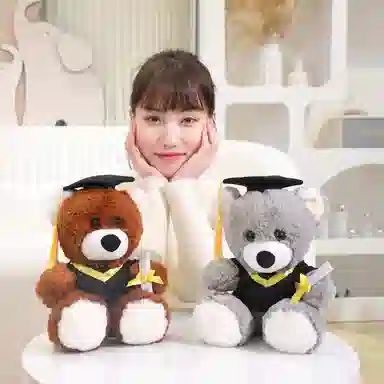 22cm25cm