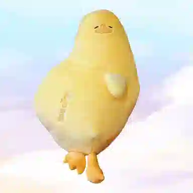 50cm