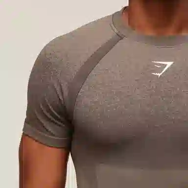 GYMSHARK ShadowSeamless T