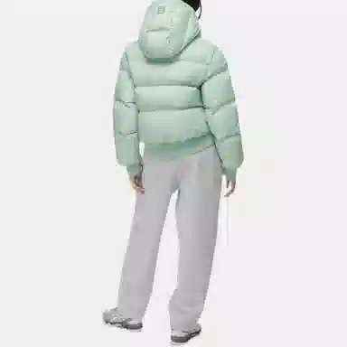 ARITZIA Super Puff Bomber