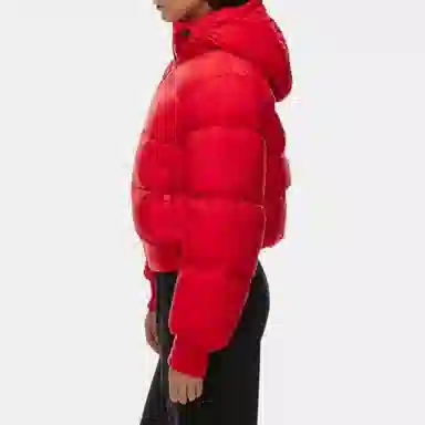 ARITZIA Super Puff Bomber